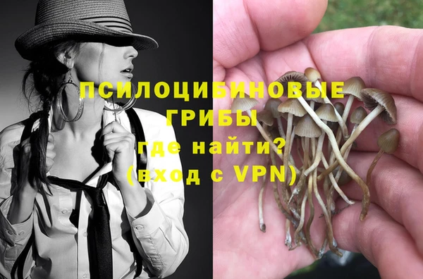 прущие грибы Верхнеуральск
